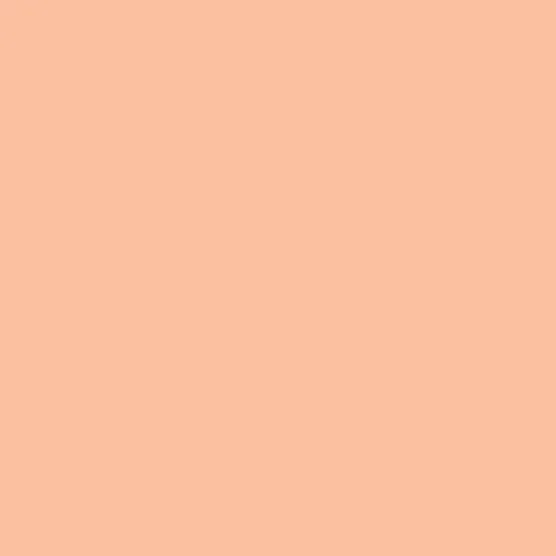 Image of Pantone 1555 Paint
