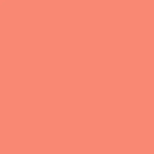 Image of Pantone 170 Paint