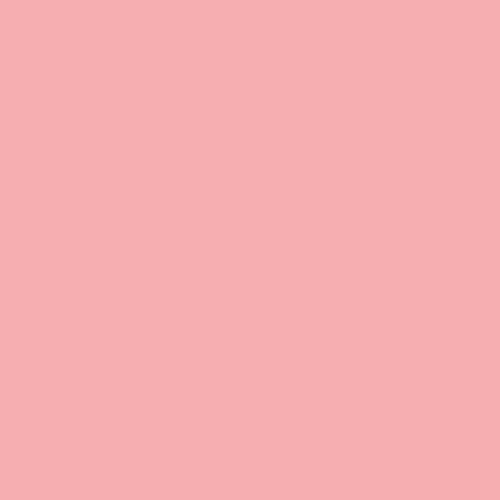 Image of Pantone 176 Paint