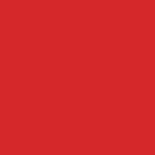 Image of Pantone 1795 Paint