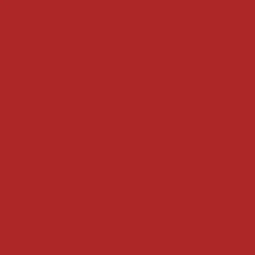 Image of Pantone 1805 Paint