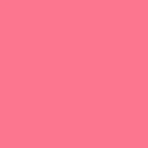 Image of Pantone 190 Paint