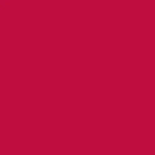 Image of Pantone 193 Paint