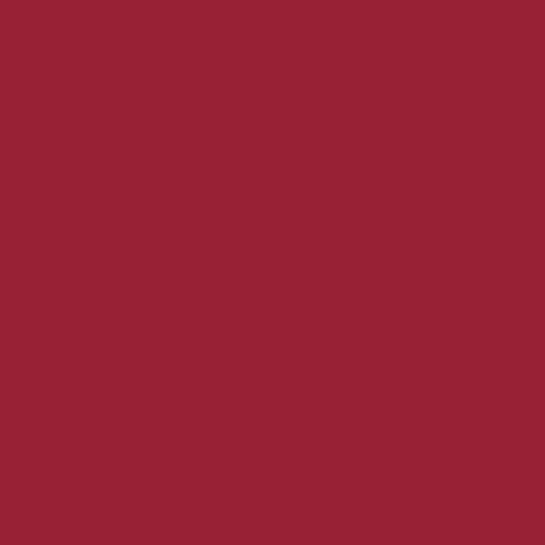 Image of Pantone 194 Paint