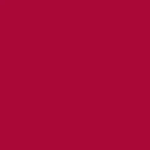 Image of Pantone 1945 Paint