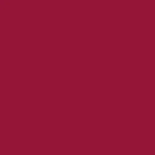 Image of Pantone 1955 Paint