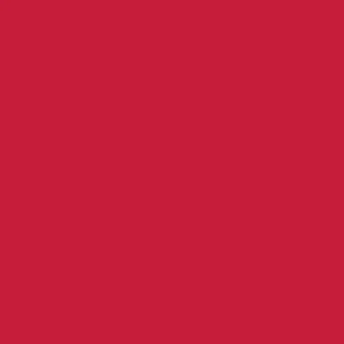 Image of Pantone 200 Paint