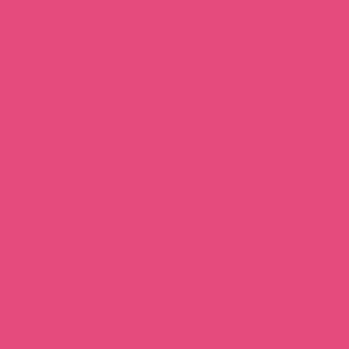 Image of Pantone 205 Paint