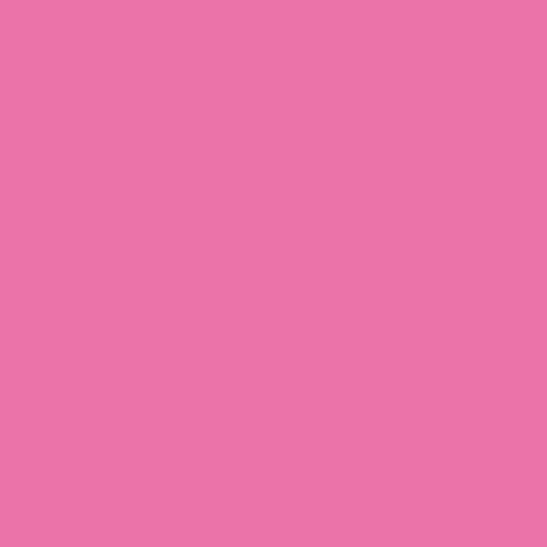 Image of Pantone 218 Paint