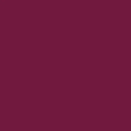 Image of Pantone 222 Paint