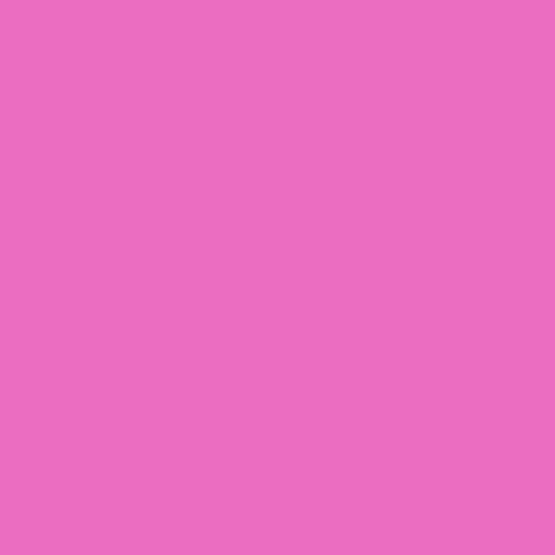 Image of Pantone 2375 Paint