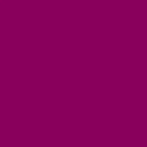 Image of Pantone 2425 Paint
