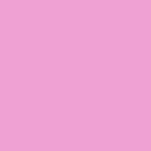 Image of Pantone 244 Paint
