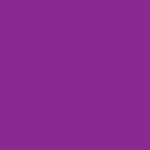 Image of Pantone 2593 Paint
