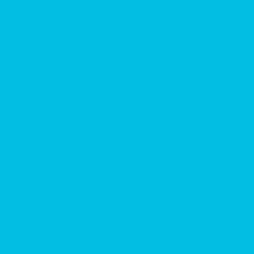 Image of Pantone 306 Paint