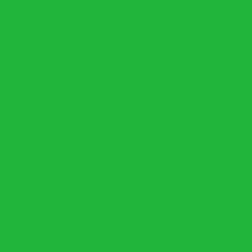 Image of Pantone 361 Paint