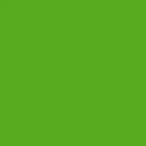 Image of Pantone 369 Paint