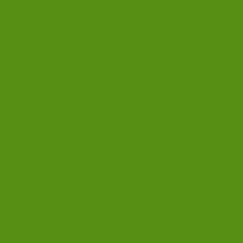 Image of Pantone 370 Paint