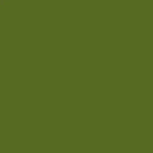 Image of Pantone 371 Paint