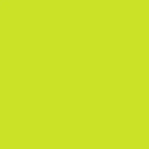 Image of Pantone 381 Paint