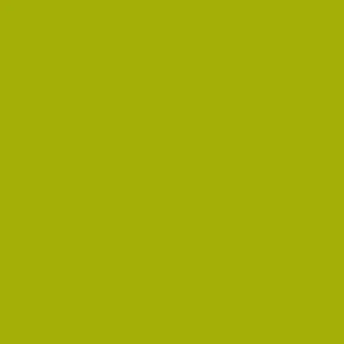 Image of Pantone 383 Paint