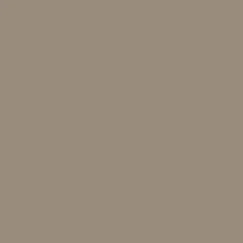 Image of Pantone 403 Paint