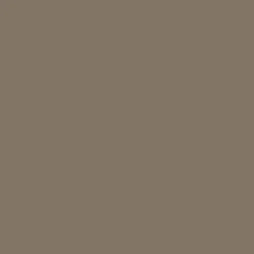 Image of Pantone 404 Paint