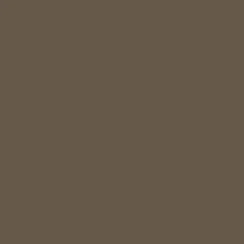 Image of Pantone 411 Paint