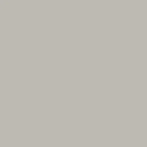Image of Pantone 421 Paint