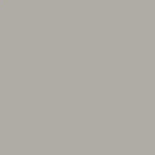 Image of Pantone 422 Paint