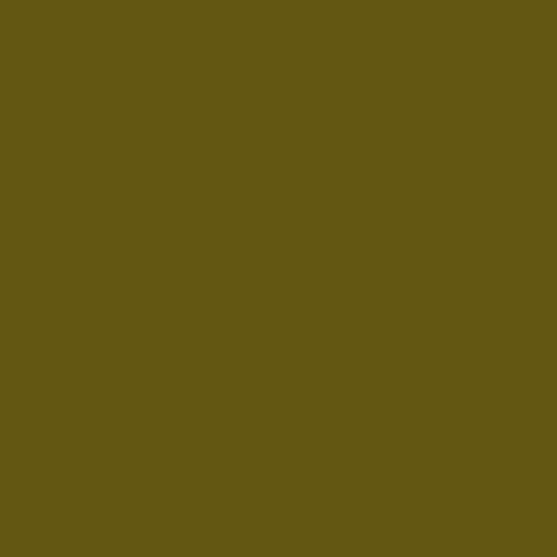 Image of Pantone 455 Paint