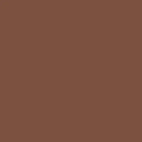 Image of Pantone 4705 Paint