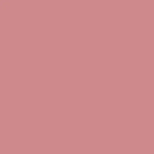 Image of Pantone 500 Paint