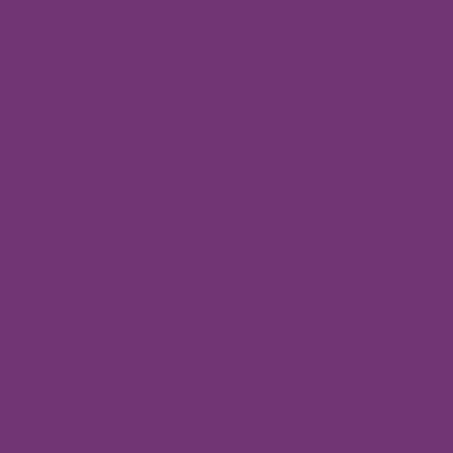 Image of Pantone 520 Paint