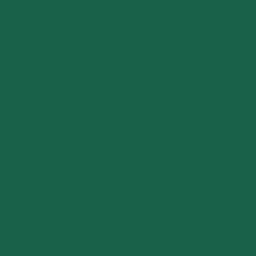 Image of Pantone 554 Paint