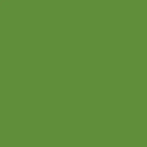 Image of Pantone 576 Paint
