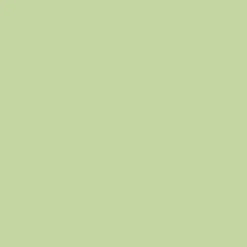 Image of Pantone 578 Paint