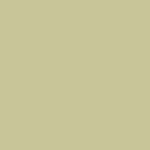 Image of Pantone 5787 Paint