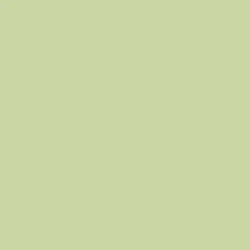 Image of Pantone 579 Paint