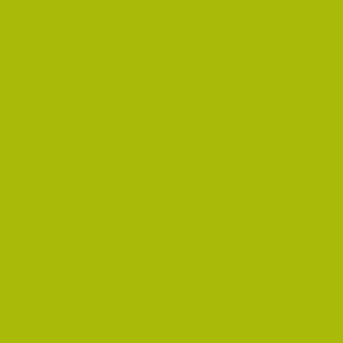 Image of Pantone 583 Paint
