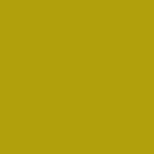 Image of Pantone 613 Paint