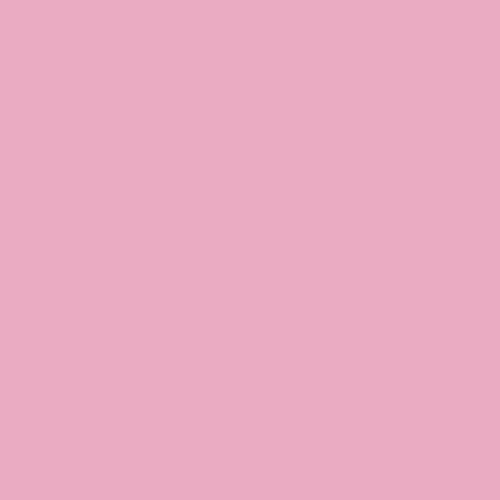 Image of Pantone 672 Paint