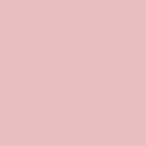 Image of Pantone 685 Paint