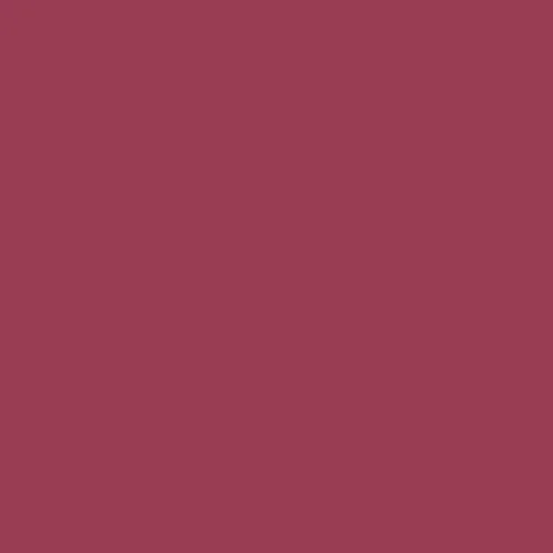 Image of RAL 010 40 40 Paint