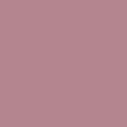 Image of RAL 010 60 20 Paint