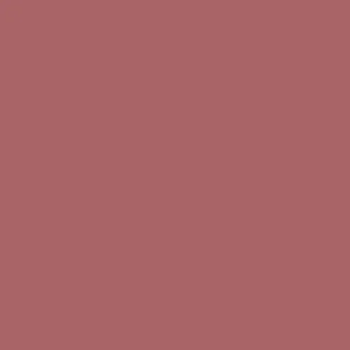 Image of RAL 020 50 30 Paint