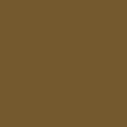 Image of RAL 075 40 30 Paint