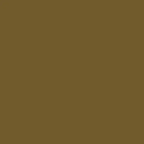 Image of RAL 080 40 30 Paint