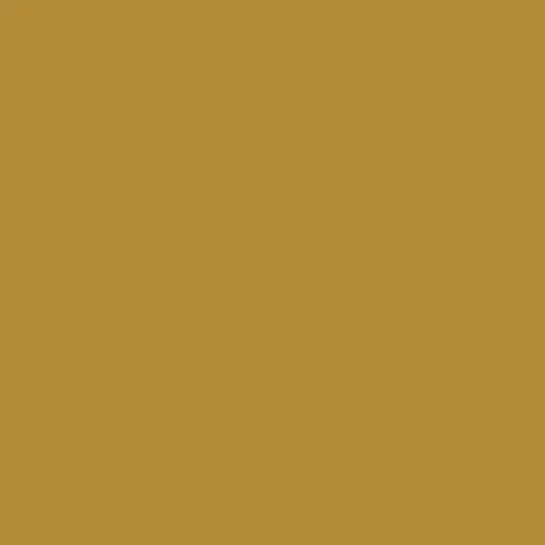 Image of RAL 080 60 50 Paint
