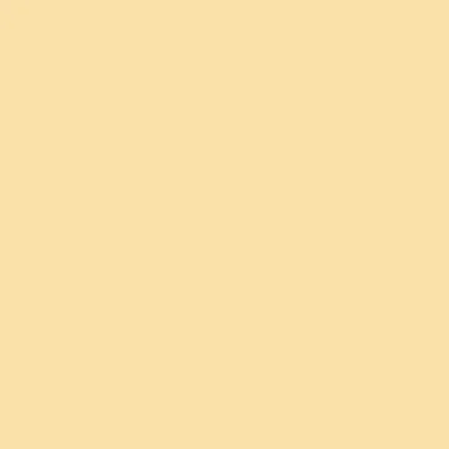 Image of RAL 085 90 30 Paint